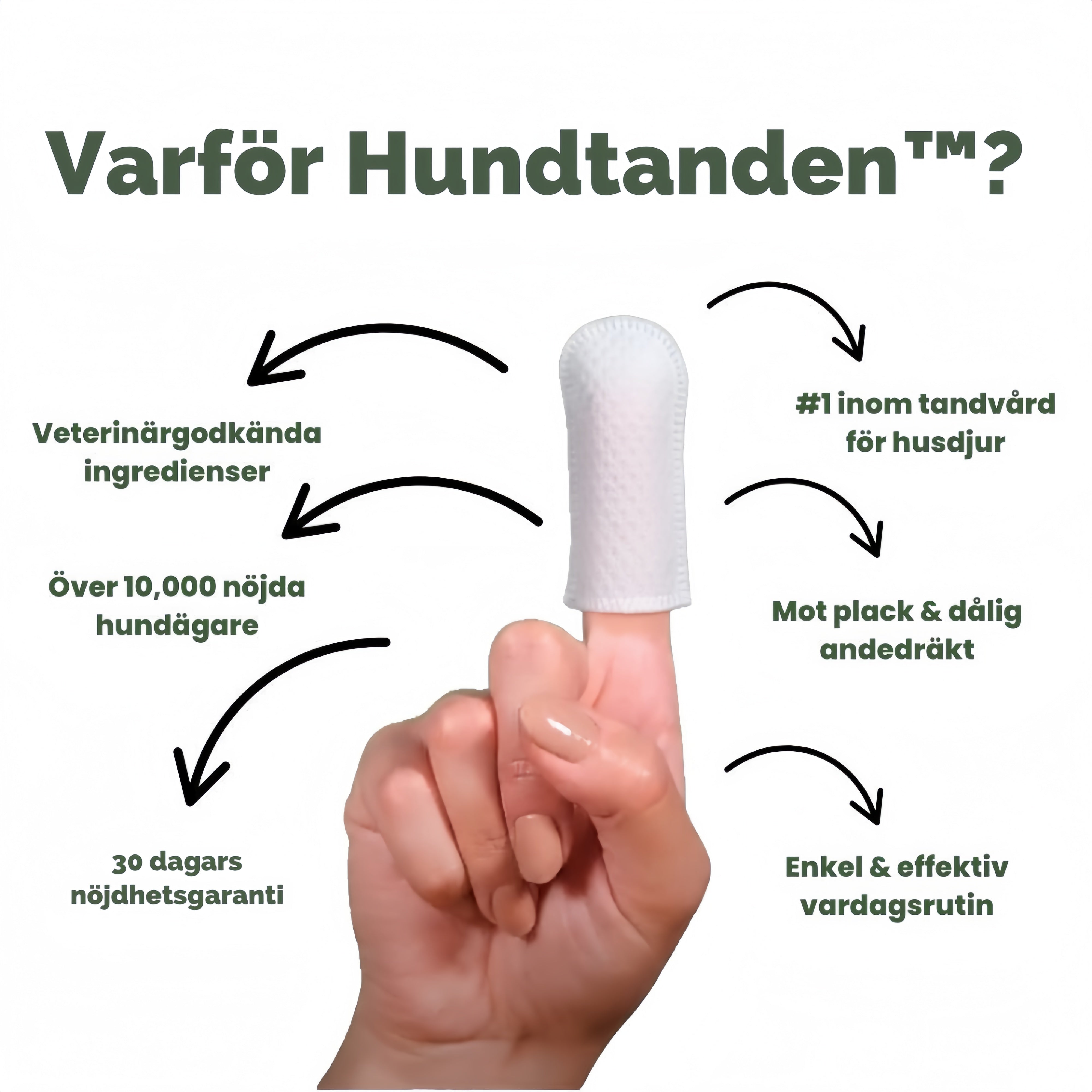 Hundtanden™ – Lättare rutin, friskare hund!