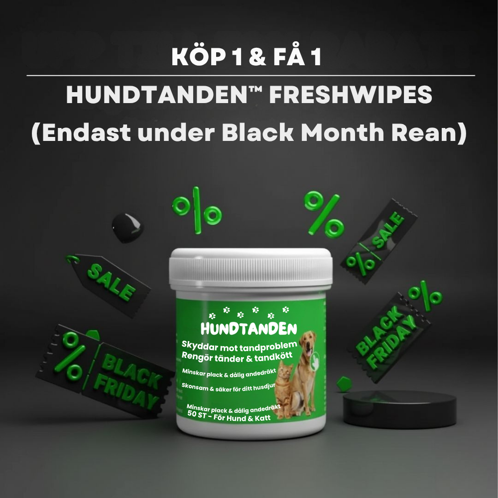 Hundtanden™ – Lättare rutin, friskare hund!