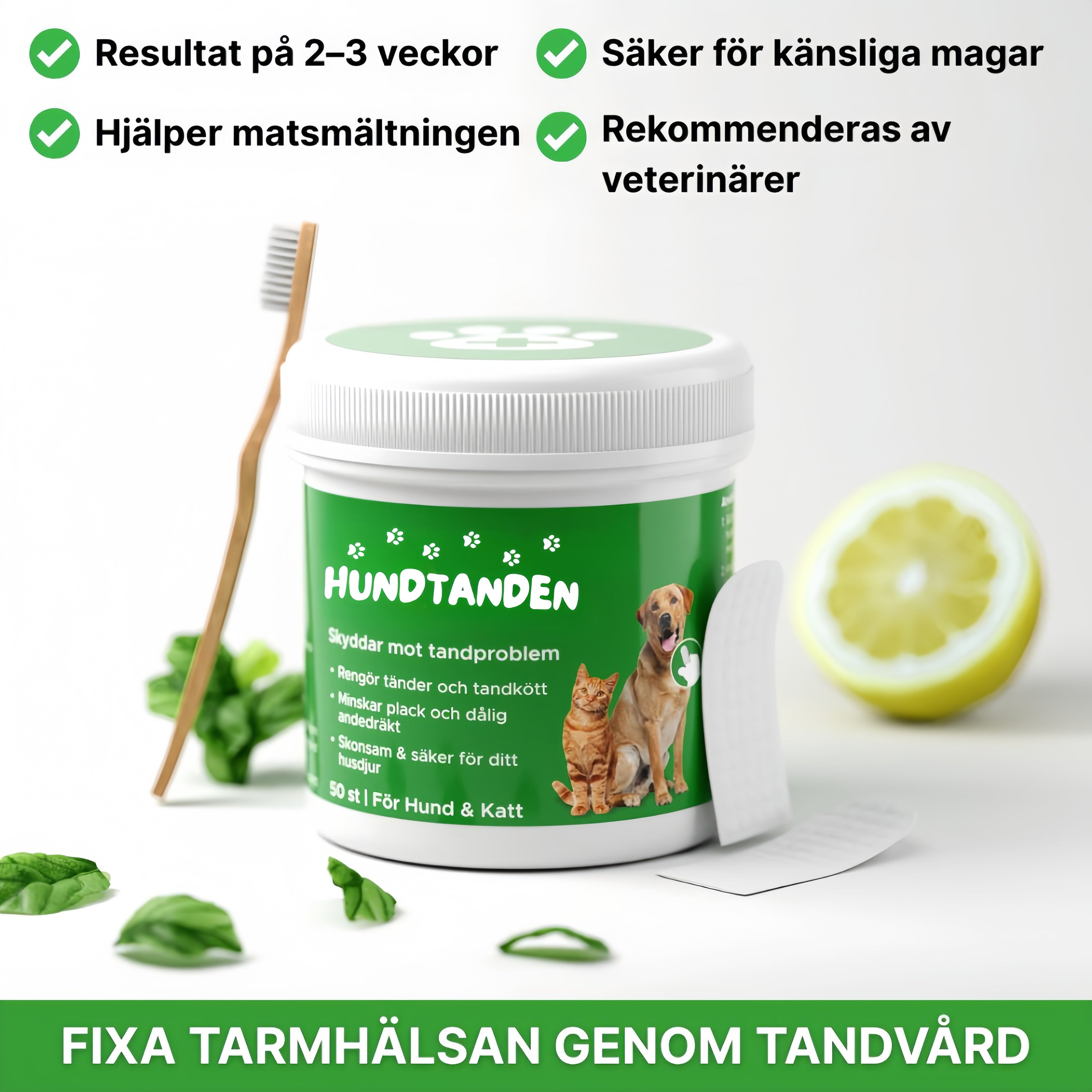 Hundtanden™ – Lättare rutin, friskare hund!
