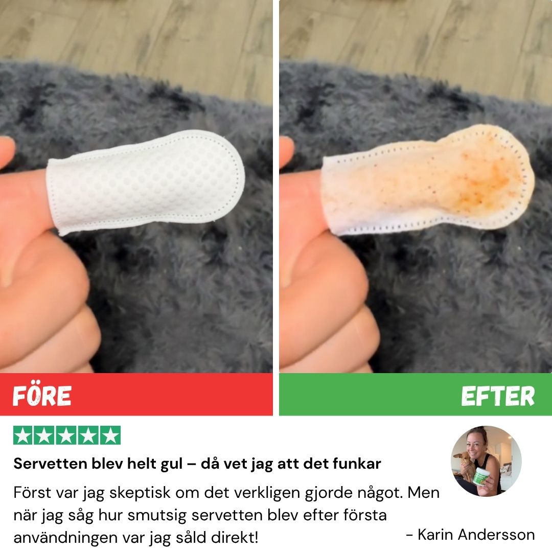 Hundtanden™ – Lättare rutin, friskare hund!